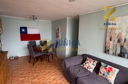 Torres San Borja Amoblado